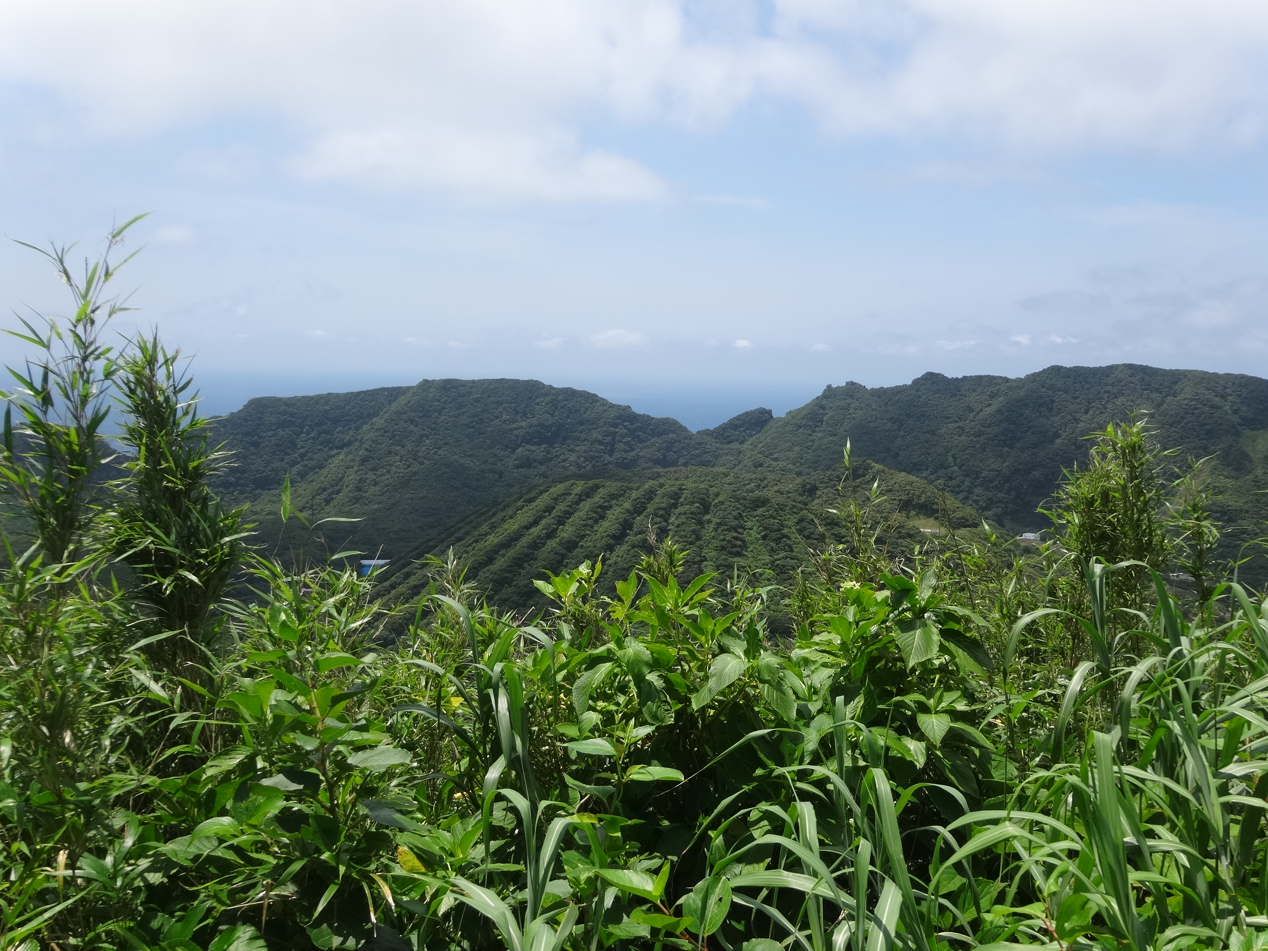 青ヶ島　カルデラ